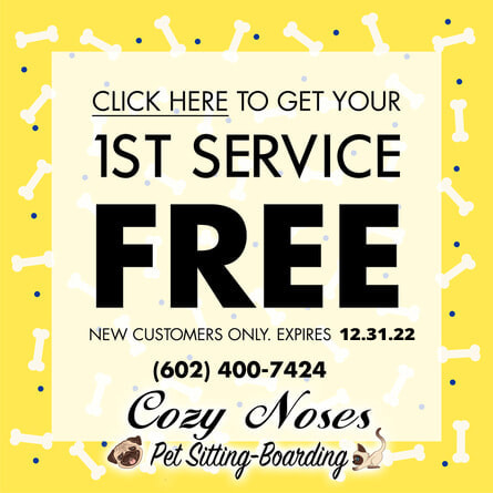 1st Service Free Pet Sitting & Boarding Surprise AZ